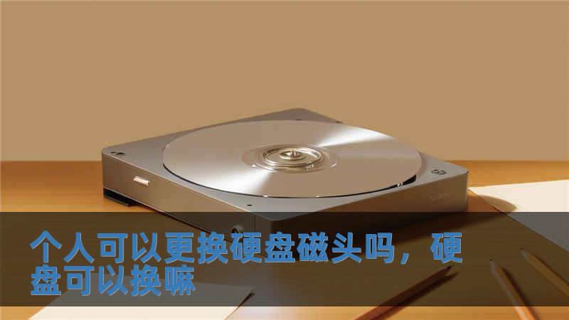 個人可以更換硬盤磁頭嗎，硬盤可以換嘛