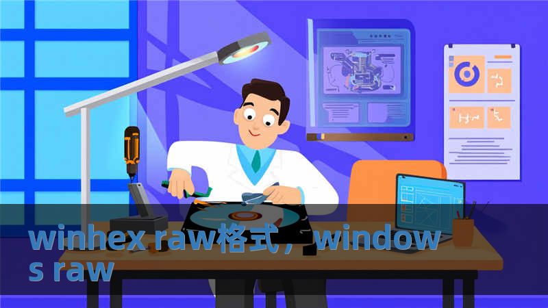 winhex raw格式，windows raw