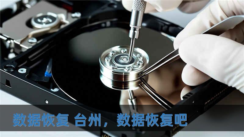 數據恢復 臺州，數據恢復吧