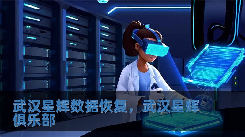 武漢星輝數據恢復，武漢星輝俱樂部