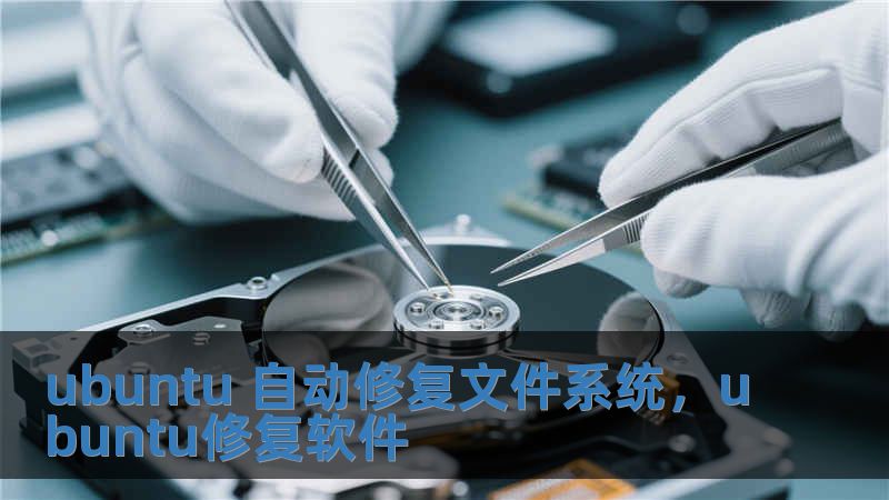 ubuntu 自動修復文件系統(tǒng)，ubuntu修復軟件