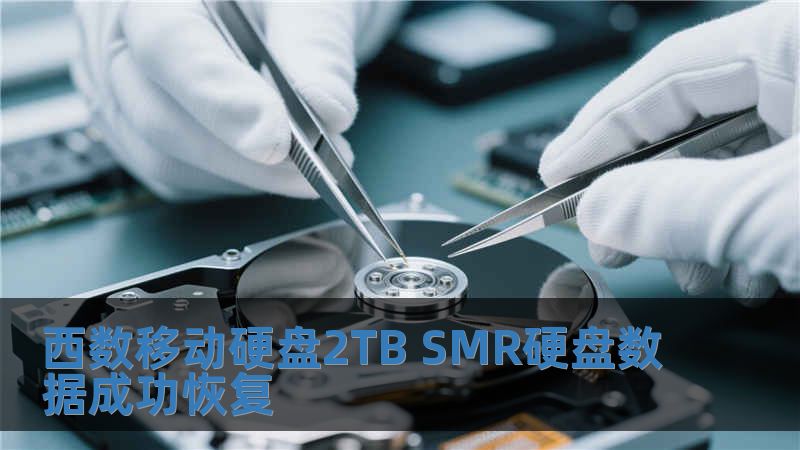 西數(shù)移動硬盤2TB SMR硬盤數(shù)據(jù)成功恢復