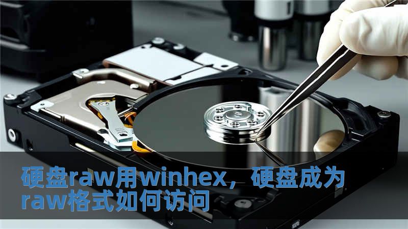 硬盤raw用winhex，硬盤成為raw格式如何訪問