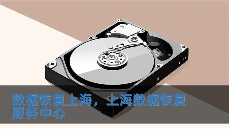 數據恢復上海，上海數據恢復服務中心