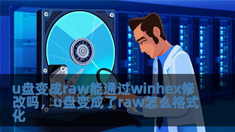 u盤變成raw能通過winhex修改嗎，u盤變成了raw怎么格式化