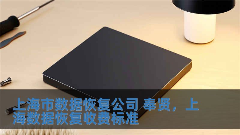 上海市數(shù)據(jù)恢復(fù)公司 奉賢，上海數(shù)據(jù)恢復(fù)收費(fèi)標(biāo)準(zhǔn)