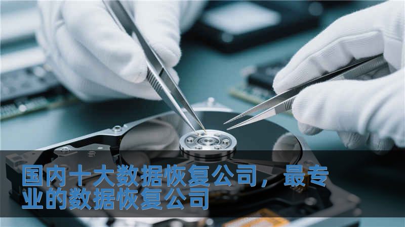 國內(nèi)十大數(shù)據(jù)恢復(fù)公司，最專業(yè)的數(shù)據(jù)恢復(fù)公司