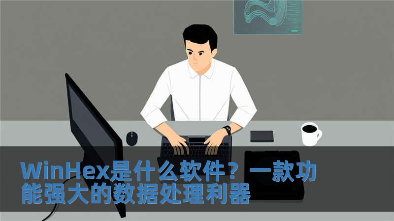 WinHex是什么軟件？一款功能強大的數據處理利器