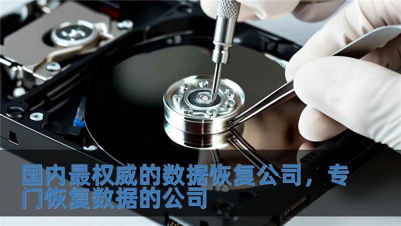 國內最權威的數據恢復公司，專門恢復數據的公司