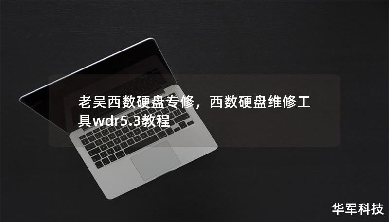 老吳西數硬盤專修，西數硬盤維修工具wdr5.3教程