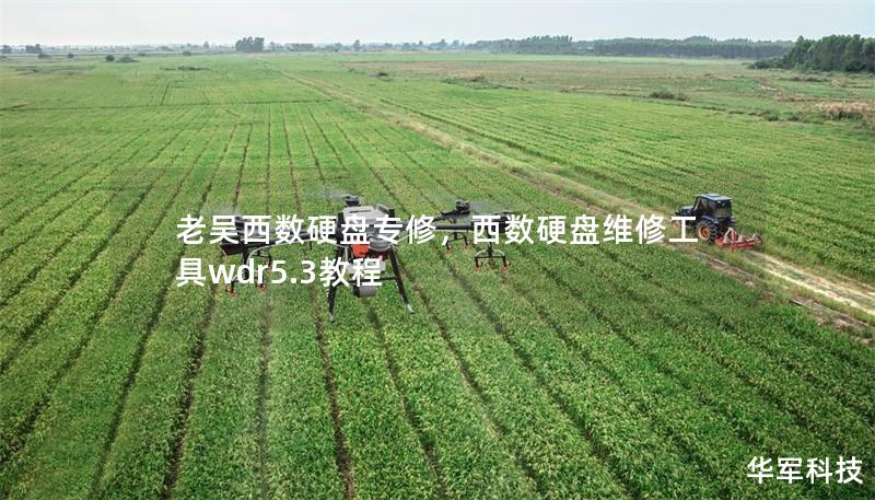 老吳西數硬盤專修,西數硬盤維修工具wdr5.3教程 老吳西數硬盤專修,西數硬盤維修工具wdr5.3教程