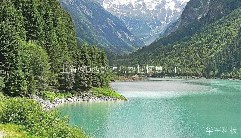 上海WD西數(shù)硬盤數(shù)據(jù)恢復(fù)中心 上海WD西數(shù)硬盤數(shù)據(jù)恢復(fù)中心